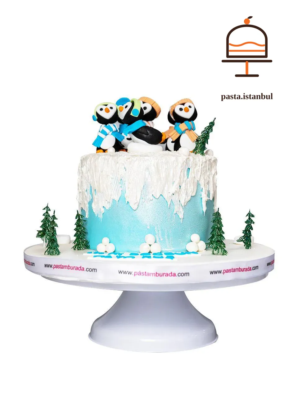 Penguen Konseptli Pasta