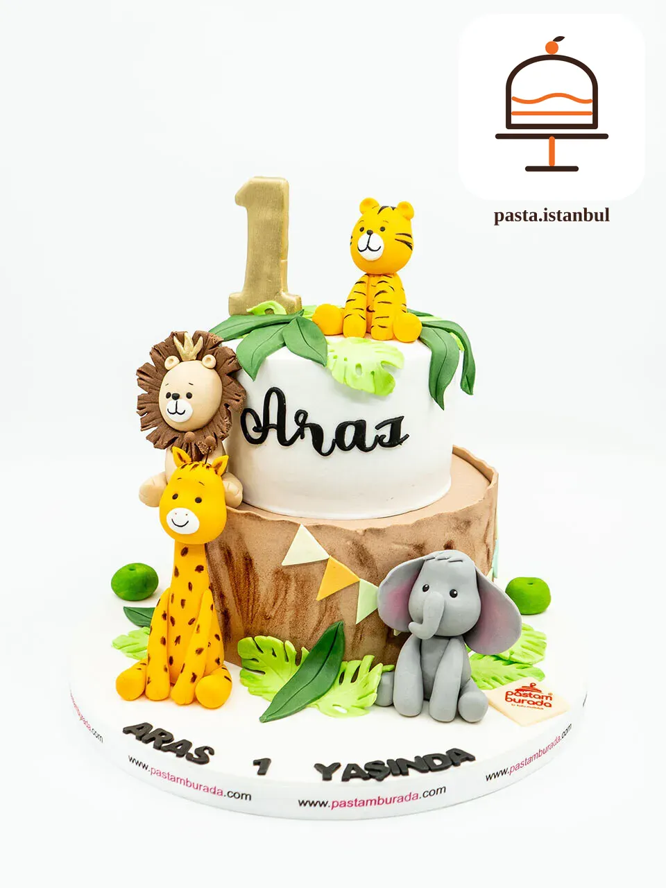 Hayvanlar Alemi Konsept Pasta
