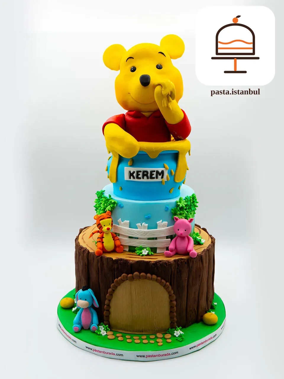 Winnie The Pooh Tasarım Pasta