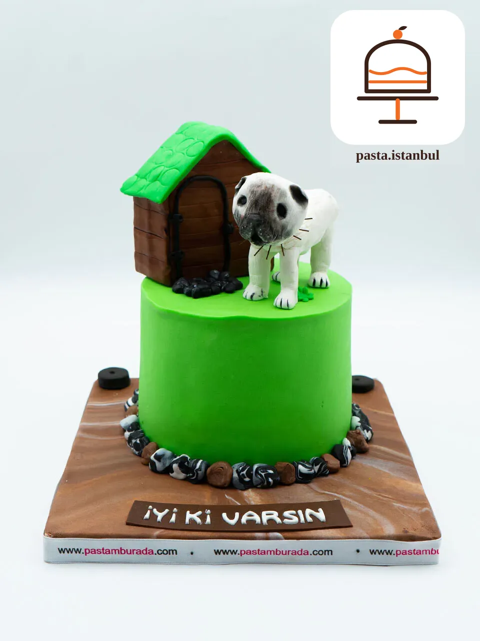 Köpek ve Klubesi Konsept Pasta
