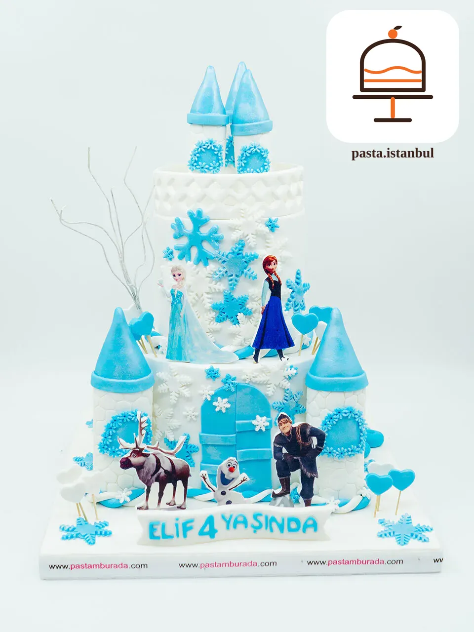 Elsa Konsept Tasarım Pasta