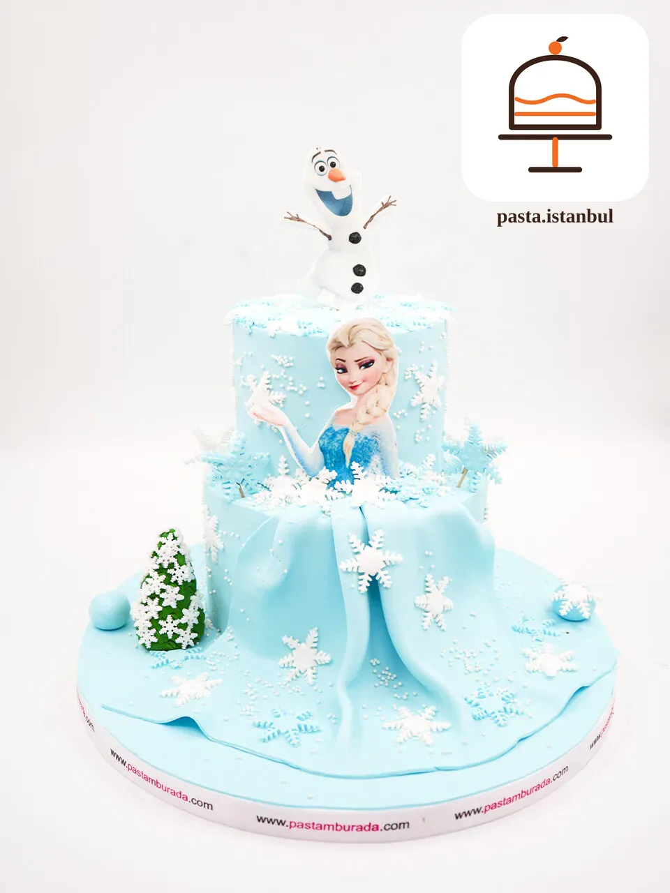 Elsa Konsept Tasarım Pasta